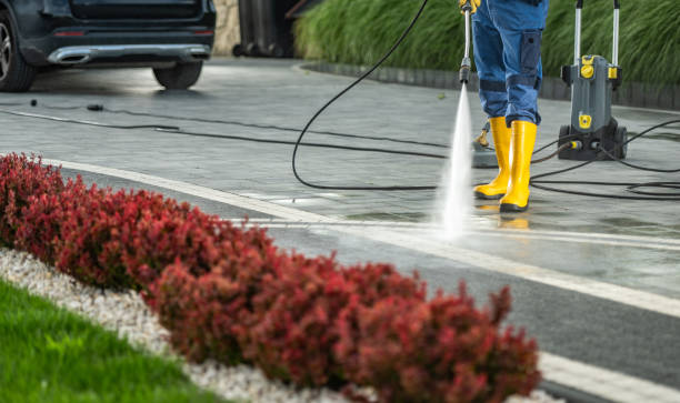 Best Soft Washing for Delicate Surfaces in Topeka, IN